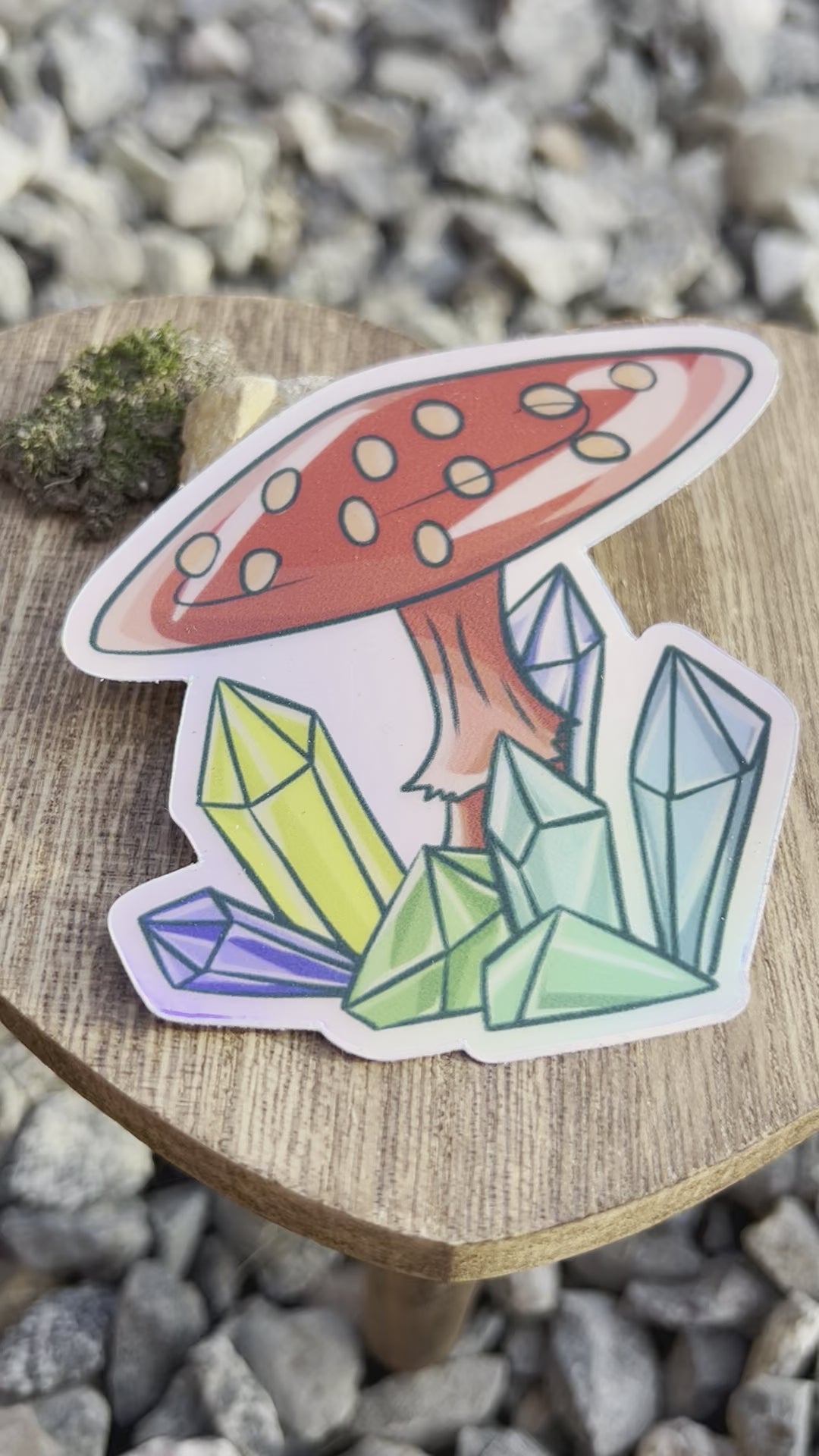 Mushroom Fantasy Holographic Sticker Set 🍄